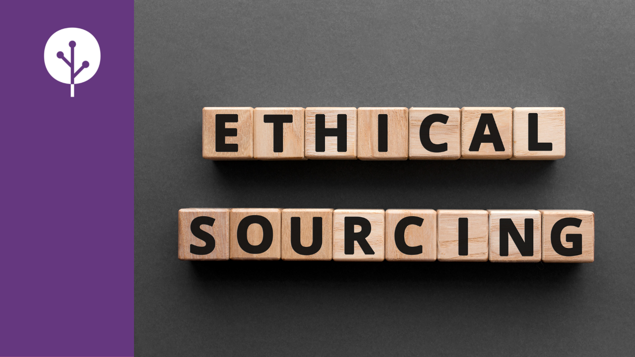 Light Tree Ventures blog Light Tree Ventures is Focused on Ethical